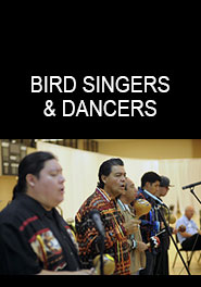 Bird Singers & Dancers